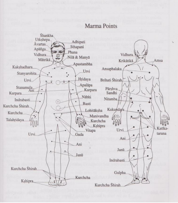 Localisation des points des petits marmas